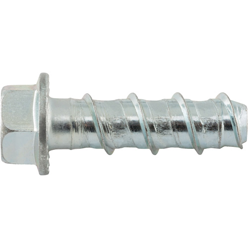 Wedge Bolts, Carbon Steel, 1/2" x 2" Equipex