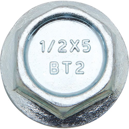 Wedge Bolts, Carbon Steel, 1/2" x 2" Equipex