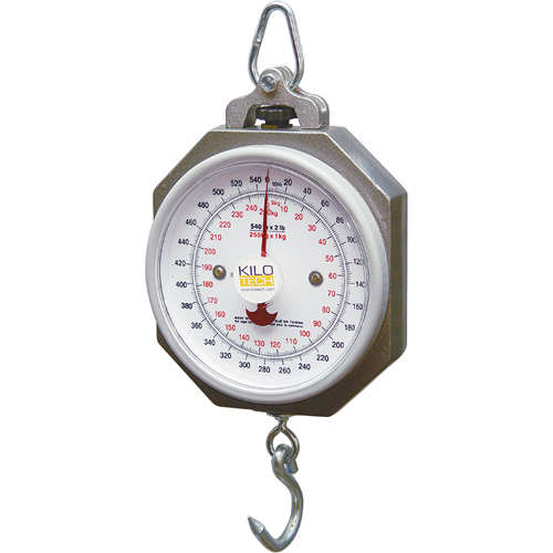 Industrial Hanging Scales Equipex