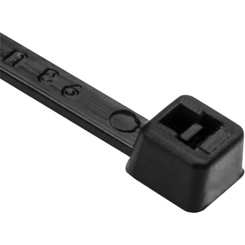 Attaches de c&acirc;ble PA66, Longueur 8", R&eacute;sistance &agrave; la traction 50 lb, Noir Equipex