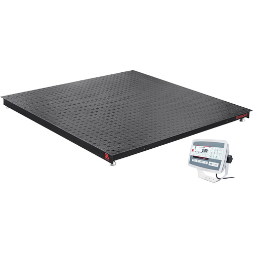 DEFENDER 5000 Floor Scale, 5000 lbs. Capacity, 48" W x 48" L Equipex