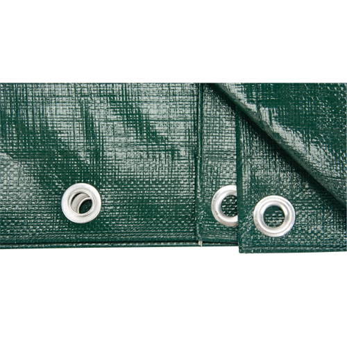 Tarp, Heavy-Duty, Green, 8' x 6' x 9 mils Equipex