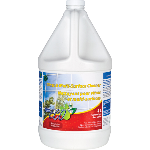 Glass & Multi-Surface Cleaners, 4 L, Jug Equipex