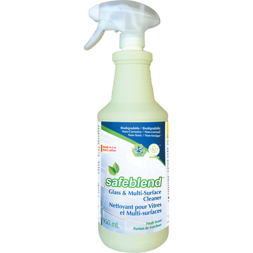 Nettoyant sans parfum pour verre & surfaces, 950 ml, Bouteille &agrave; g&acirc;chette Equipex
