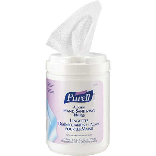 Alcohol Hand Sanitizing Wipes, Canister Equipex