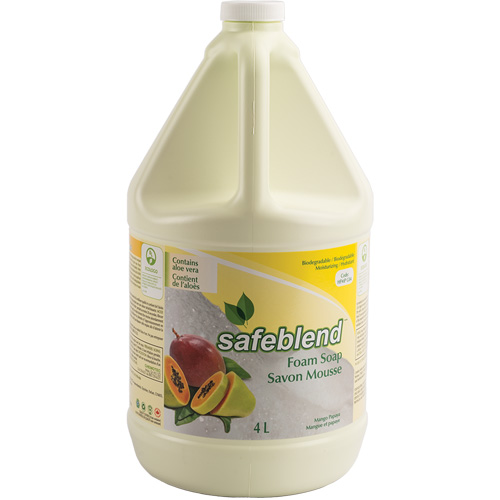 Hand & Body Soap, Foam, 4 L, Scented Equipex