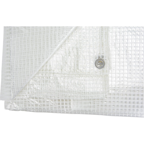 B&acirc;ches transparentes, 12' x 10' x 8 mils Equipex