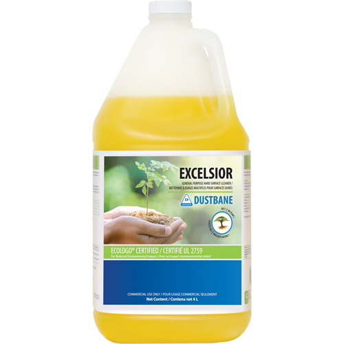Excelsior General Purpose Cleaner, 4 L, Jug Equipex