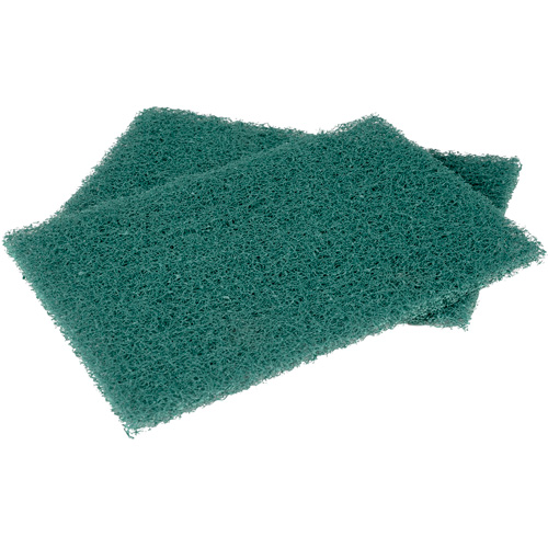 Tampons manuels Scotch-Brite, &agrave; r&eacute;curer, 6" la x 9" l Equipex