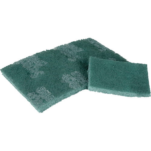 Tampon de r&eacute;curage, 3" lo x 4-1/2" la Equipex