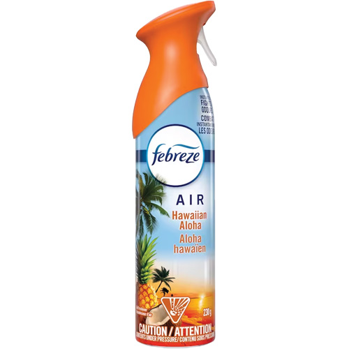 Air Freshener, Hawaiian Aloha, Aerosol Can Equipex