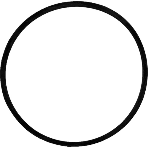 Replacement Brush Drive Belt Equipex