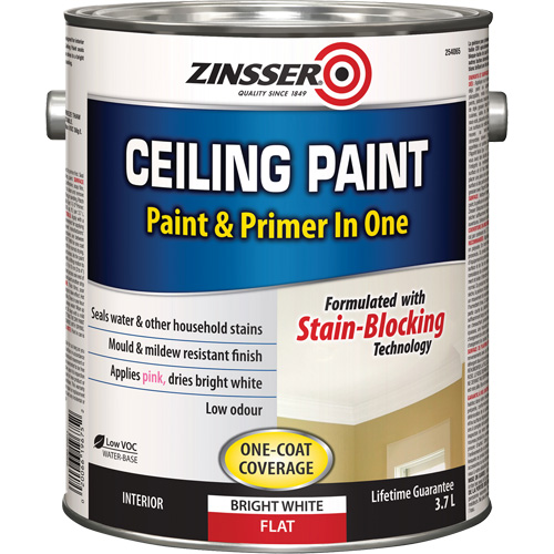 Ceiling Paint & Primer in One, White, Very Flat, 3.78 L, Gallon Equipex