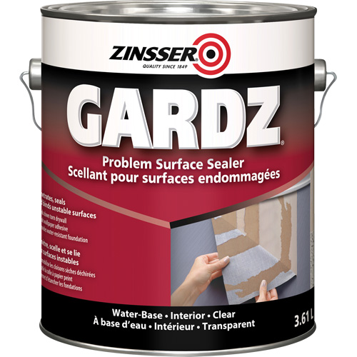 Scellant de surface &agrave; probl&egrave;mes Gardz, 916 ml, Canette, Transparent Equipex