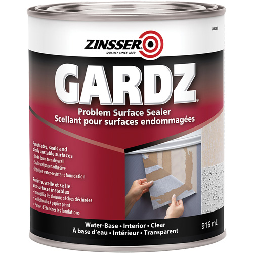 Scellant de surface &agrave; probl&egrave;mes Gardz, 3,61 L, Canette, Transparent Equipex