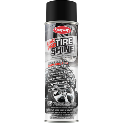 Low Pro Tire Shine Equipex