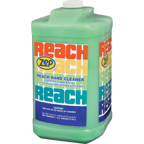 Reach Extra Heavy-Duty Hand Cleaner, Pumice, 3.78 L, Jug, Scented Equipex