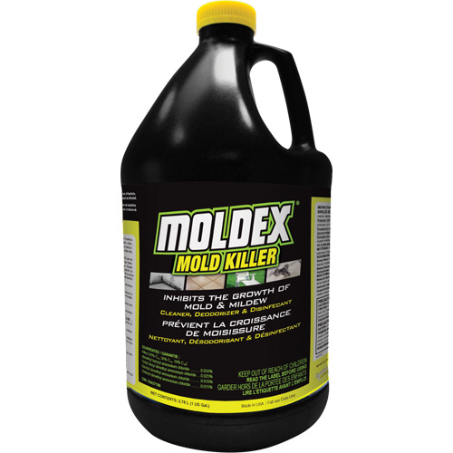 Moldex&reg; Mold Killer, 3.78 L, Jug Equipex