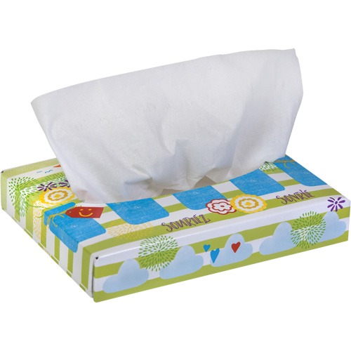 Papiers-mouchoirs pour enfants de Kleenex, 2 pli, 8,4" lo x 5,5" la, 40 feuilles/boîte Equipex