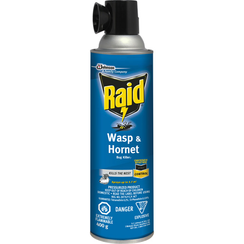 Raid&reg; Wasp & Hornet Bug Killer, 400 g, Solvent Base Equipex