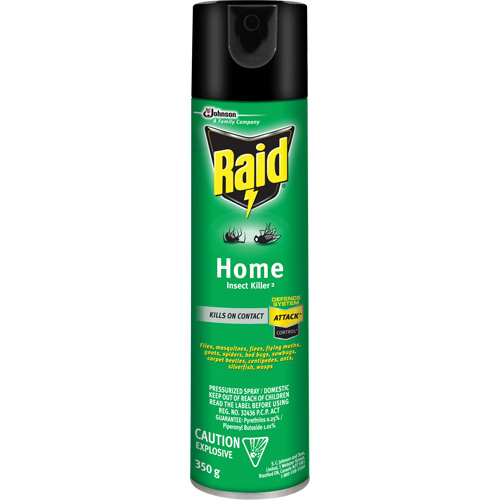 Insecticide pour insectes domestiques Raid, 350 g, &agrave; base de solvant Equipex
