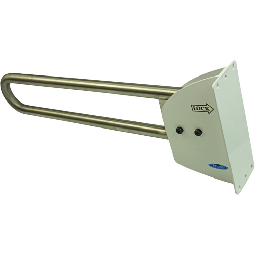 Swing-Up Safety Rail Equipex