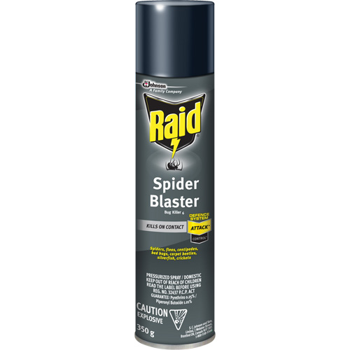 Insecticide exterminateur daraign&eacute;es Raid, 350 g, Canette a&eacute;rosol, &agrave; base de solvant Equipex