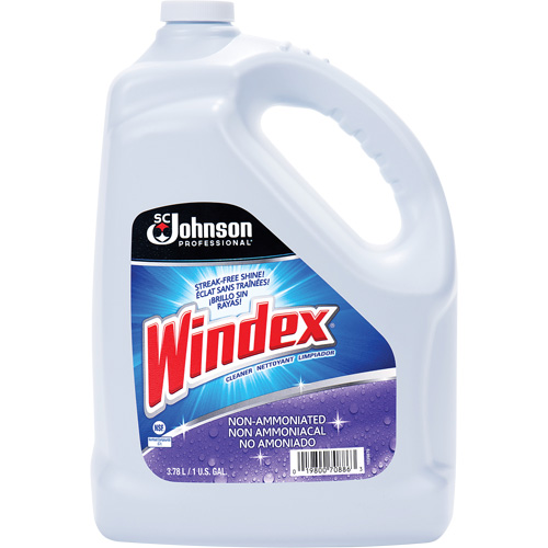 Windex&reg; Non-Ammoniated Multi-Surface Cleaner, 3.8 L, Jug Equipex