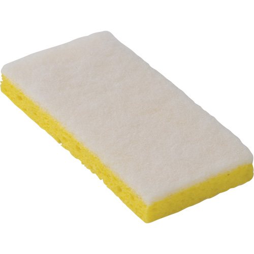745W Light-Duty Scouring Sponges, 6-1/4" L x 3-1/5" W Equipex