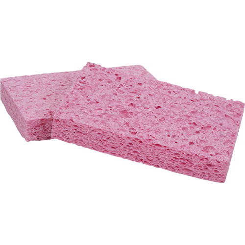 &eacute;ponge Scotch-Brite, Cellulose/Coulis/&agrave; r&eacute;curer, 3-2/3" la x 6" l Equipex