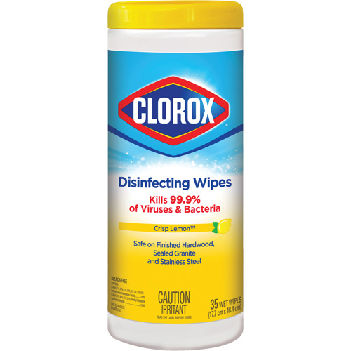 Disinfecting Wipes, 35 Count Equipex