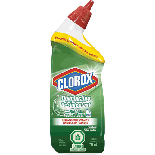 Disinfecting Toilet Bowl Cleaner with Bleach, 709 ml, Bottle Equipex