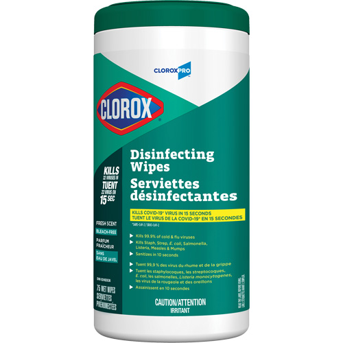 Disinfecting Wipes, 75 Count Equipex