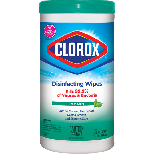 Lingettes d&eacute;sinfectantes, 75 lingettes Equipex