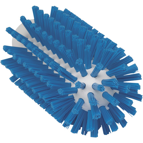 Brosse de 2,5", Soies Ferme, Longueur de 5-3/5", Bleu Equipex