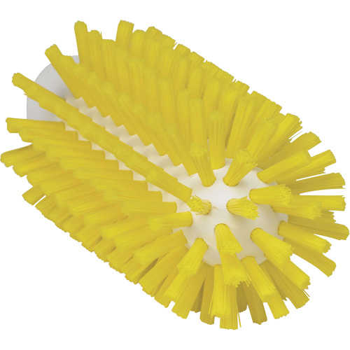 Brosse de 2,5", Soies Ferme, Longueur de 5-3/5", Jaune Equipex
