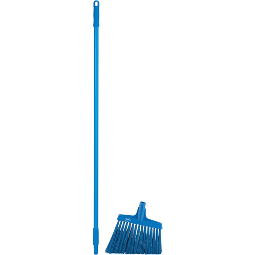 T&ecirc;te &agrave; balai en angle avec manche en m&eacute;tal, Crins Extra-ferme, 12", Polyester, Bleu Equipex