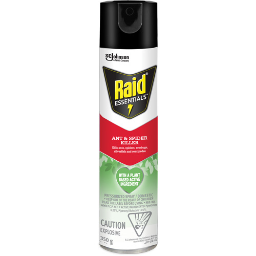 Raid&reg; Essentials Ant & Spider Killer, 350 g, Aerosol Can Equipex
