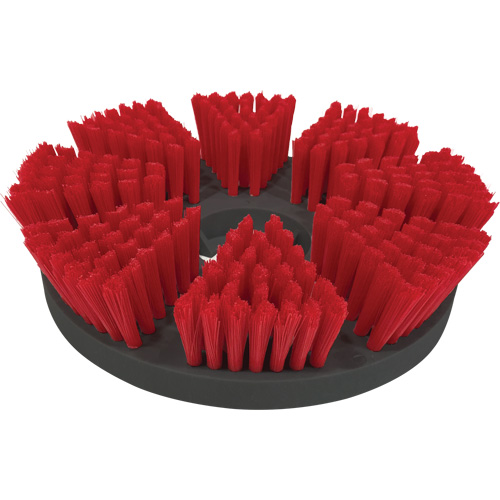 Medium-Duty Cleaning Brush Equipex