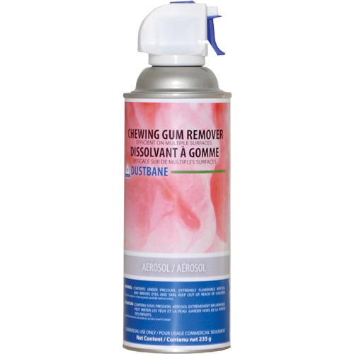 Nettoyant pour gomme &agrave; m&acirc;cher, 235 g, Canette a&eacute;rosol Equipex