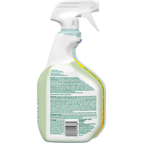Nettoyant d&eacute;sinfectant CloroxPro Clorox EcoClean, 946 ml, Bouteille &agrave; g&acirc;chette Equipex