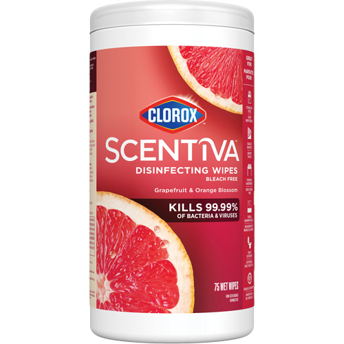 Lingettes d&eacute;sinfectantes, 75 lingettes Equipex