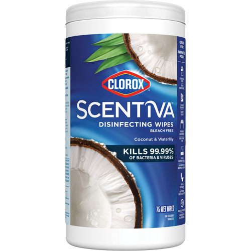 Lingettes d&eacute;sinfectantes, 75 lingettes Equipex