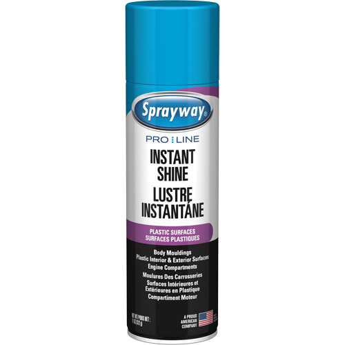 Pro Line Instant Shine for Plastic Surfaces, 11 oz., Aerosol Can Equipex