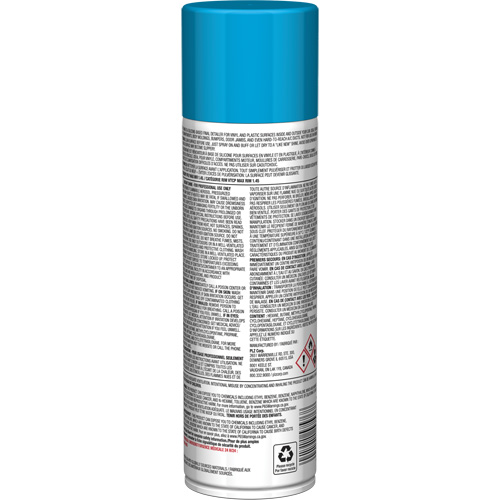 Pro Line Instant Shine for Plastic Surfaces, 11 oz., Aerosol Can Equipex