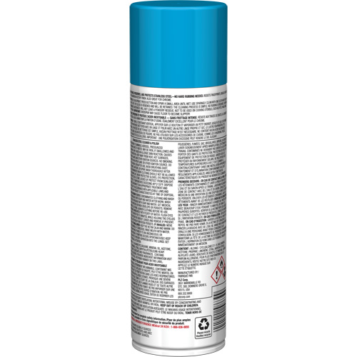 Nettoyant & polis pour acier inoxydable Pro Line, 15 oz, Canette a&eacute;rosol Equipex