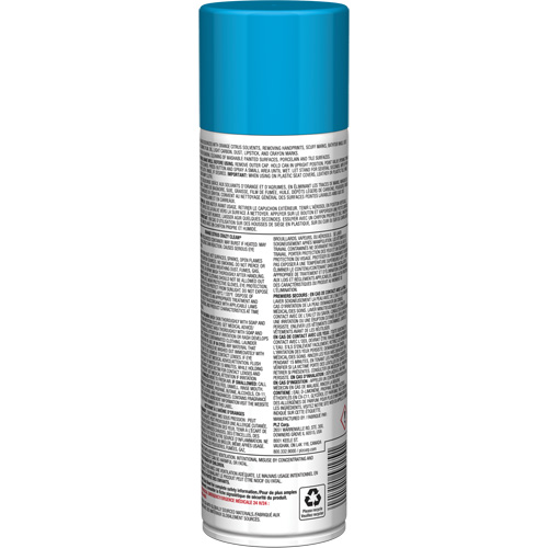 Nettoyant tout usage Pro Line Crazy Clean, 19 oz., Canette a&eacute;rosol Equipex