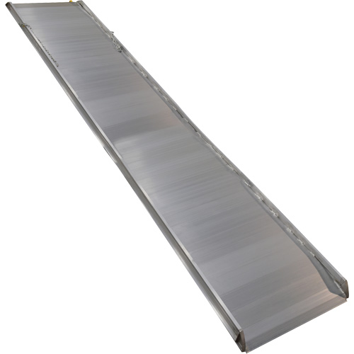 Rampe de promenade en aluminium, Capacit&eacute; de 1000 lb, 38" la x 193-1/8" lo Equipex