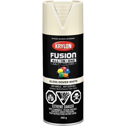 Peinture &agrave; pulv&eacute;riser tout en un Fusion, Blanc Dover, Brillant, 12 oz, Canette a&eacute;rosol Equipex