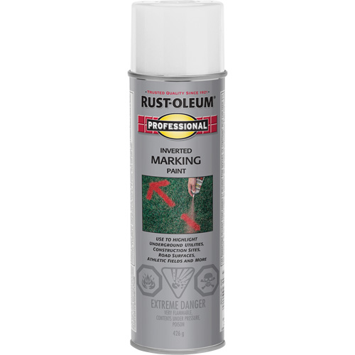 Peinture de marquage renvers&eacute; en a&eacute;rosol, 426 g, Canette a&eacute;rosol Equipex